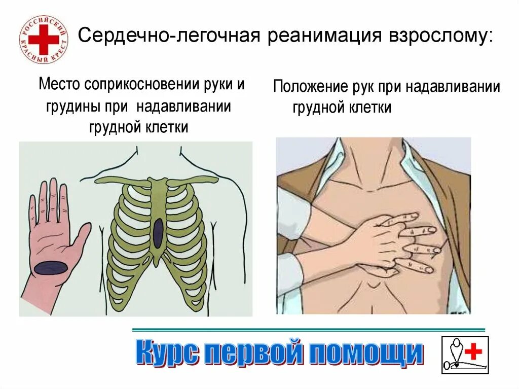 Сердечный приложить