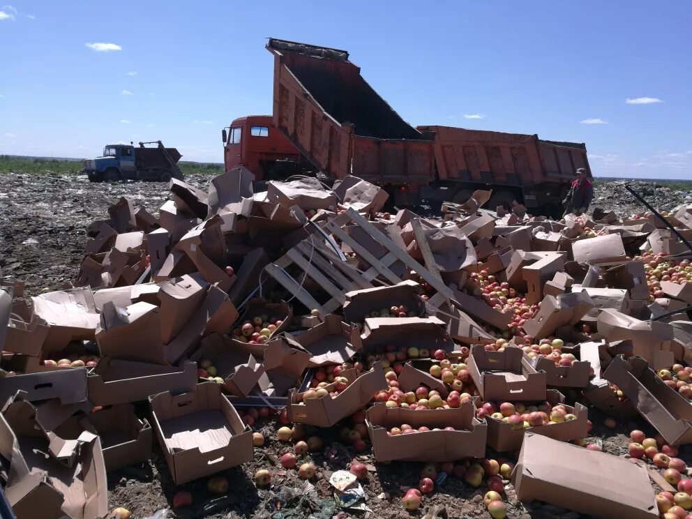 Рынок вещей в волгодонске. Тонна 39. Отработанные блоки грибов. Тонна 39. Автокран китаец вездеход 25 тонн.