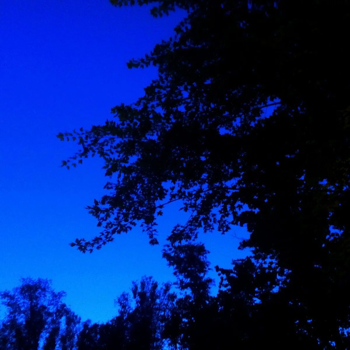 Черный день синяя ночь. Темно синий Эстетика. Эстетика темно синего цвета. Синяя ЭСТЕТИКАЭСТЕТИКА. Эстеьика синего цветка.