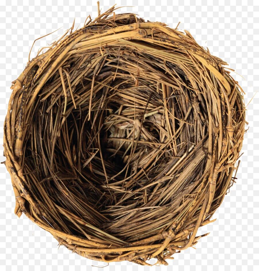 Nest static