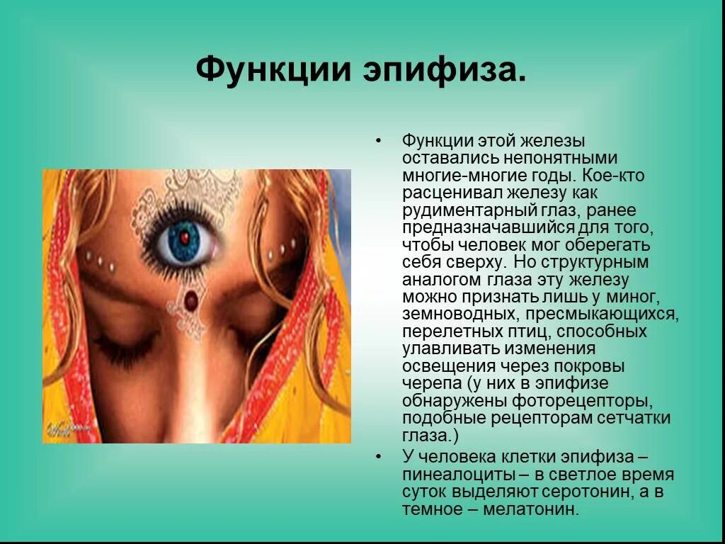 Пинеальная железа это. Шишковидная железа третий глаз. Эпифиз третий глаз глаз. Шишковидная железа центр сверхспособностей. Шишковидная железа (эпифиз).