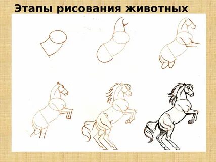 Рисуем поэтапно 4 класс презентация