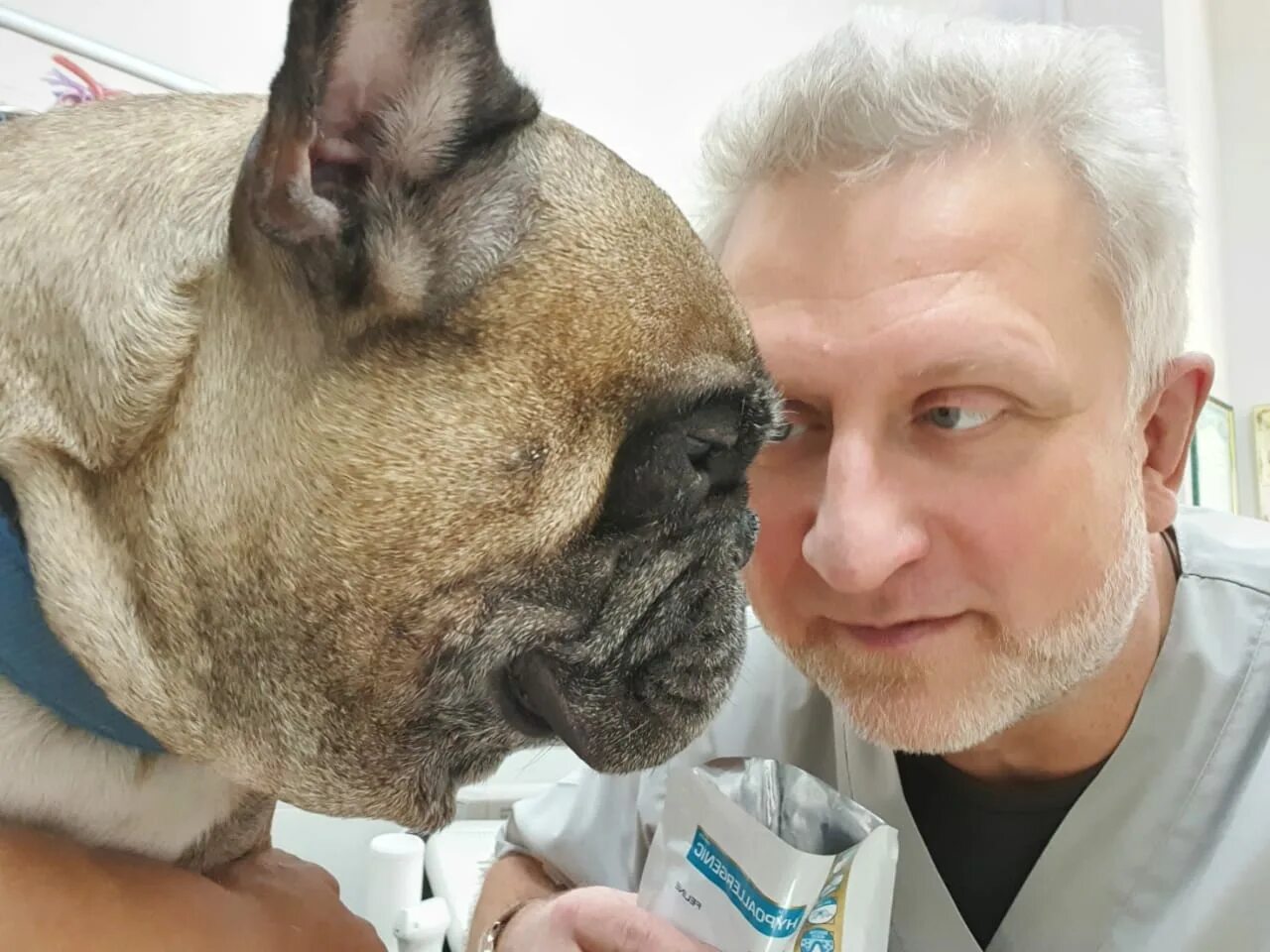 казань космонавтов ветеринарная клиника. ветеринар в казани клинцова. ветеринарная клиника царицыно. ветеринар горбушин лев александрович. птицын ветеринар казань.