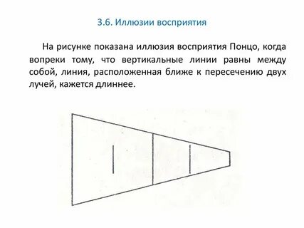 Иллюзии восприятия особенности возникновения и виды