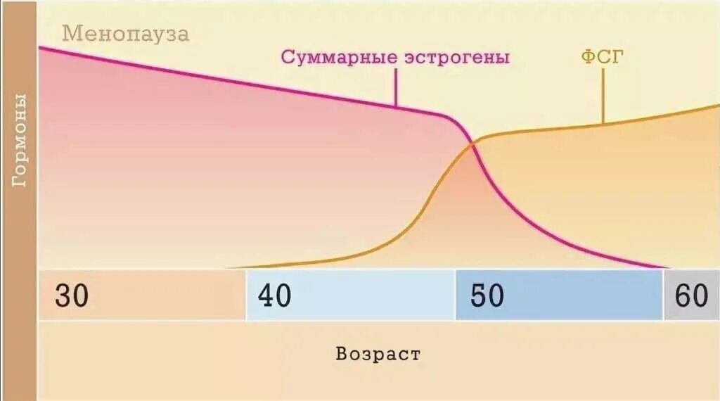 Климакс в норме в каком возрасте. Постменопауза уровень фсг и лг. нормы половых гормонов для 1 фазы. показатели лютеинизирующего гормона у женщин в менопаузе. уровень гормонов при климаксе у женщин.