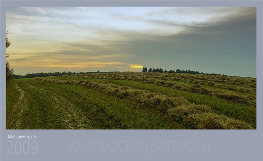 У родины моей ни конца ни края. Отчий край. Отчие поля. Отчий край картинки. Люблю тебя мой Отчий край родной.