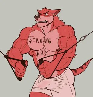 Fury muscle 18