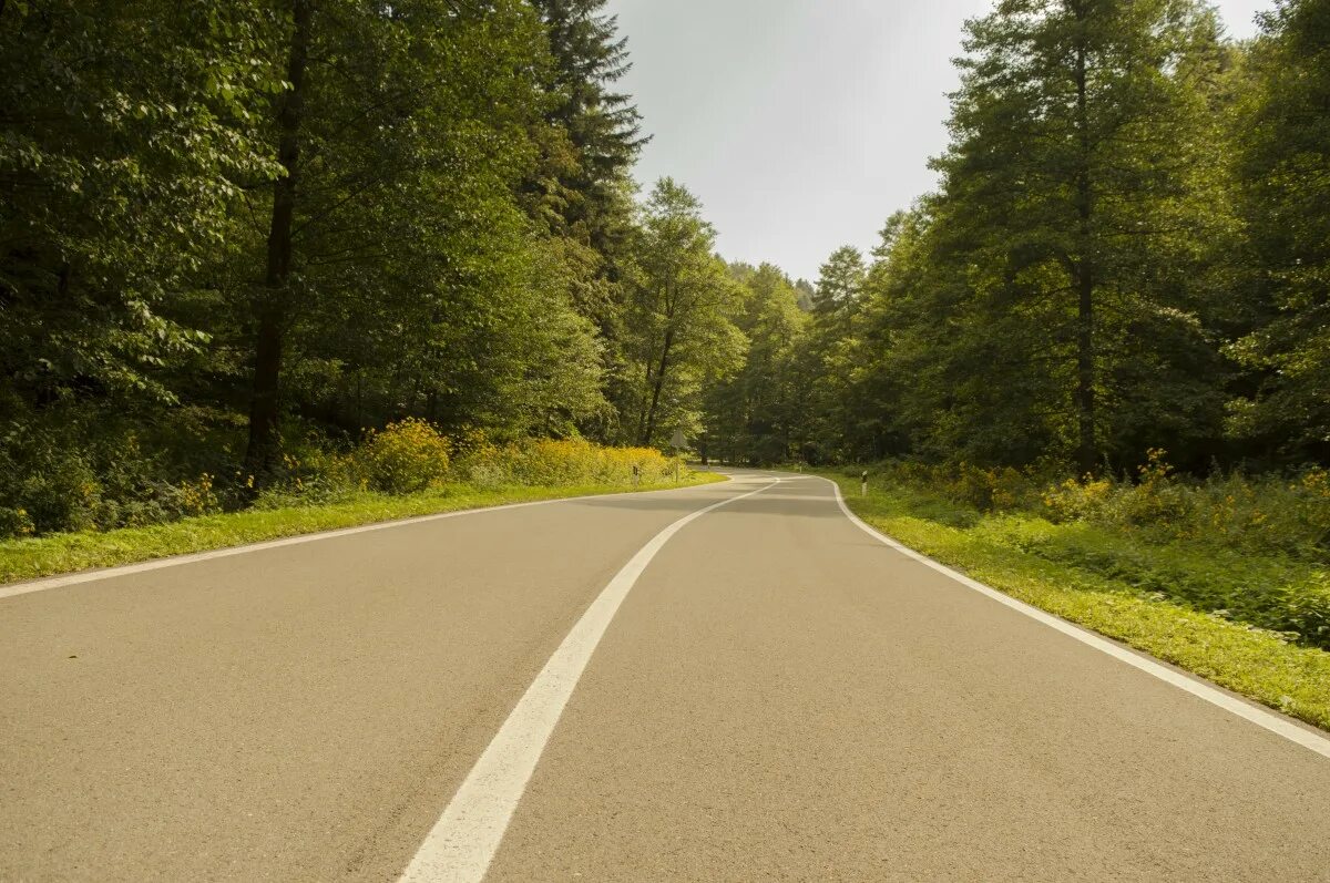 Lane road. Загородная дорога. Фон дорога. Фон дороги. Дорога асфальт.