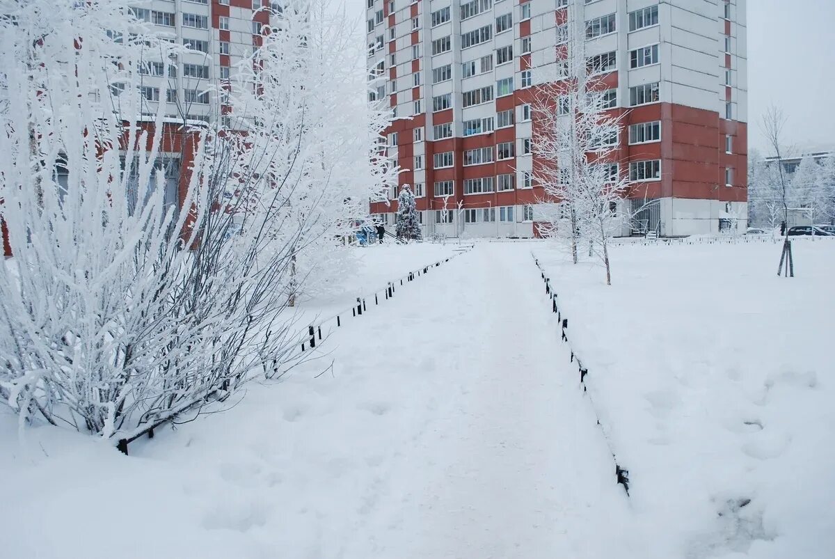 Калининград дворы панельки. Тсж зим. Собрание жильцов. Тсж зим. Тсж горки.