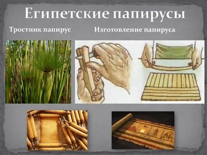Что такое папирусный