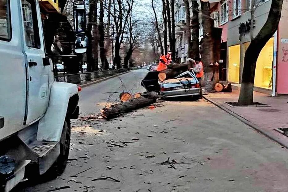 Последствия ветров. Ураган в Севастополе. Ураган в Симферополе. Крым ураганный ветер. Ураган в Ялте.