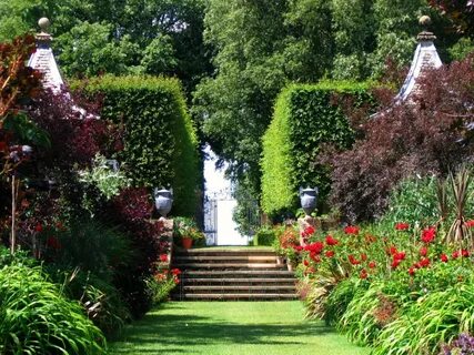 Garden many