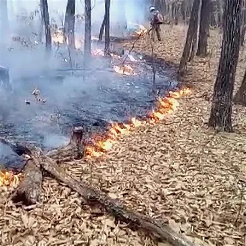 Дальний сгорел