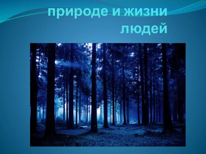 Роль лесов в природе и жизни человека. Роль леса в природе и жизни людей. Роль леса в жизни природы. Лес роль в жизни человека.