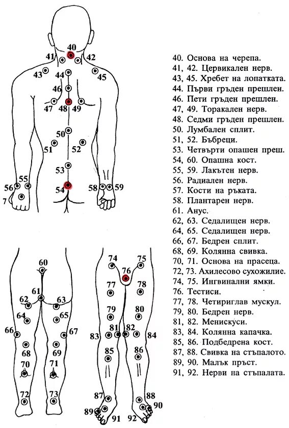 Массаж мужчине точки. Точки хиджама атлас точек. Схема хиджама точки. Хиджама схема постановки. Схема хиджама точки нервов.