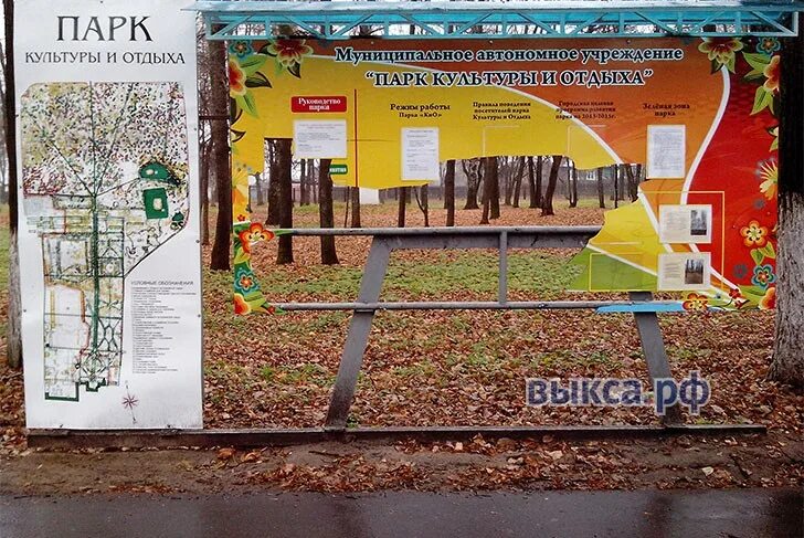 Мау парк культуры и отдыха выкса. Выкса улица академика королева. Выксунский парк культуры. Выкса парк деревянные фигуры. Выкса парк аттракционов.