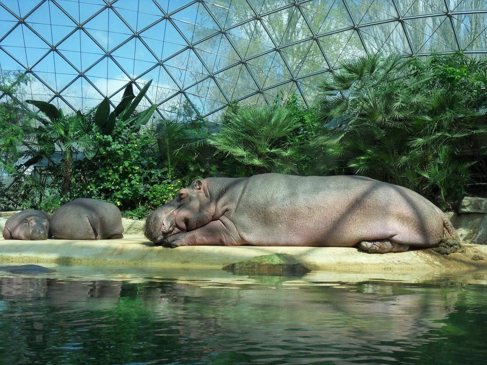 Крупные зоопарки