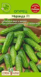 Сорт огурца миранда