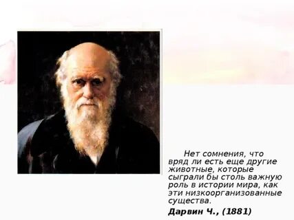 Вряд ли есть