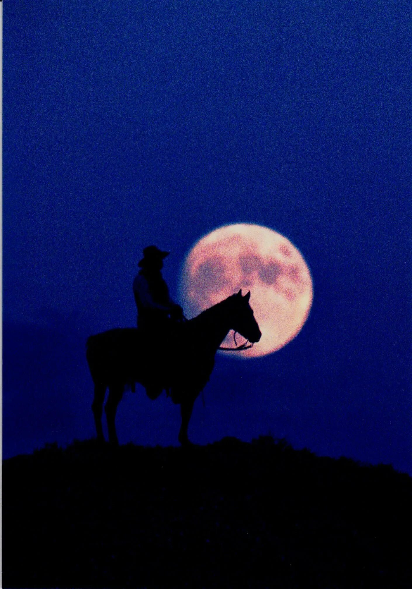 Кон ночи. Лошадь ночью. Лунный конь. Лошадь под луной. Лошадь и Луна.