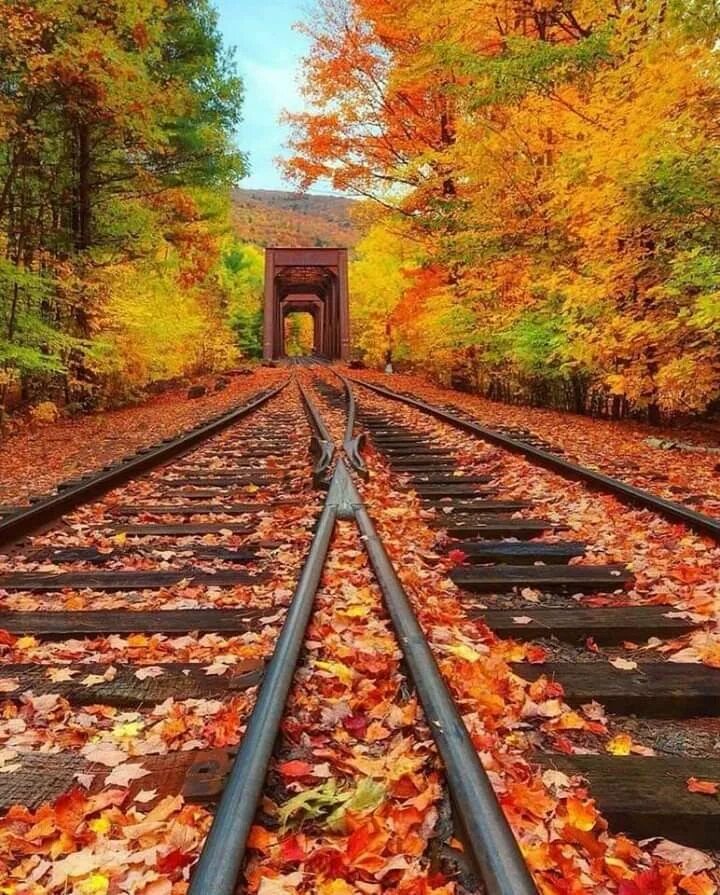 40 Relaxing Railroad Track Wallpapers Train tracks, Old train, Sunset wallpaper
