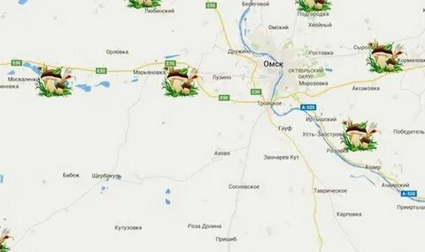 Где едет омск