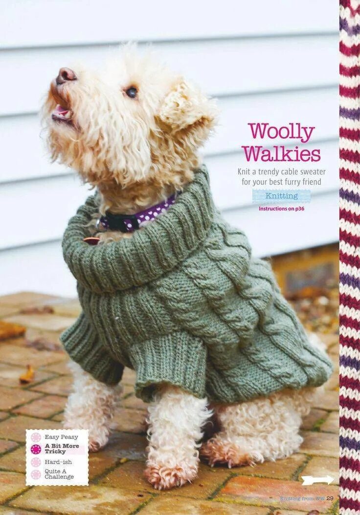 Tian chong одежда для собак. Вязаная одежда для собак. Ализе пуффи свитер для собак. Попона для собаки из шарфа. Собака в платочке.