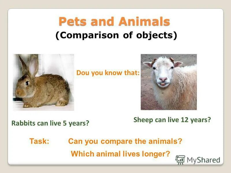 Compare animals