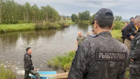Река шакша