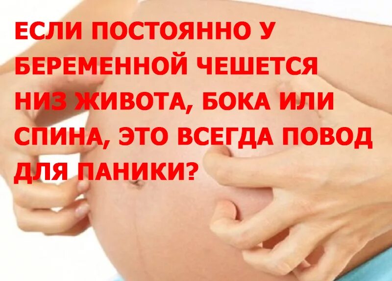 Чешется живот у беременных. Почему чешется низ живота. Чешется живот при беременности.