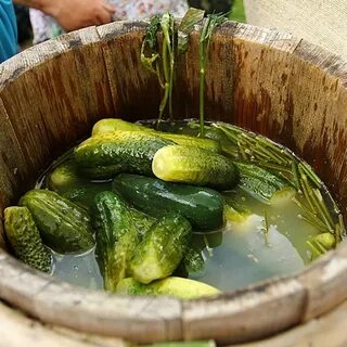 Огурцы в пластиковых бочках