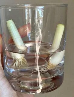 Стакан яйцо вода изголовье