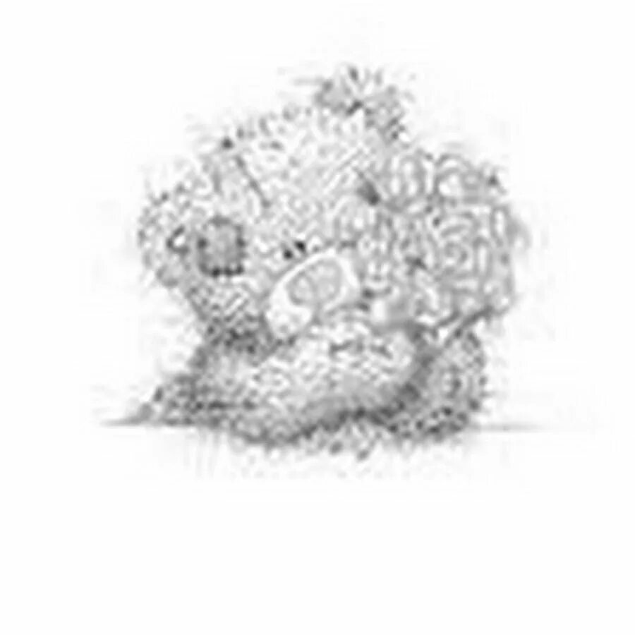 мишка тедди картинки. мишка тедди векторный. силуэт мордочки медведя. мишка тедди. голова плюшевого мишки.