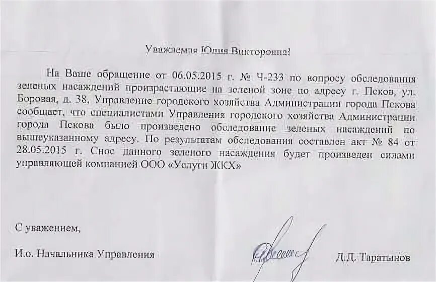 Образец заявления на спил деревьев. Заявление на спил дерева в управляющую компанию. Заявление на вырубку аварийного дерева образец. Заявление в управляющую компанию о спиле деревьев образец. Письмо просьба спилить дерево.