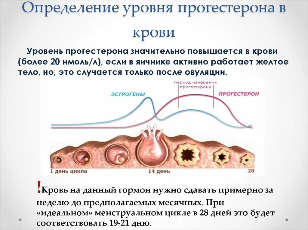 Кровит в овуляцию