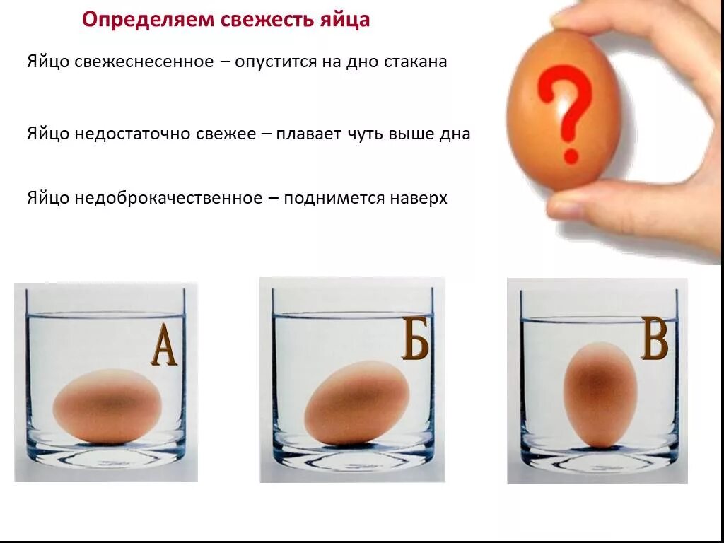 Сколько свежее яйцо. Как определить свежесть яйца. Как узнать свежесть яиц. Свежесть куриных яиц. Способы определения свежести яиц.