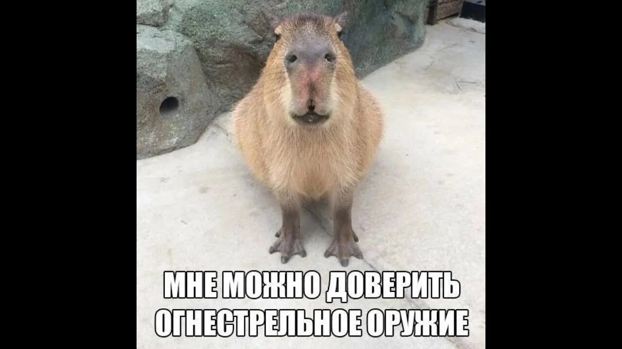 Уверяю вас мне можно доверить. Уверяю вас мне можно доверить