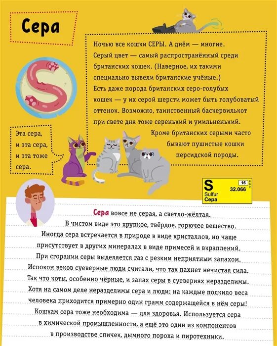 Котохимия. Книга котохимия. Котохимия и котофизика. Clever котохимия. Сера запах есть