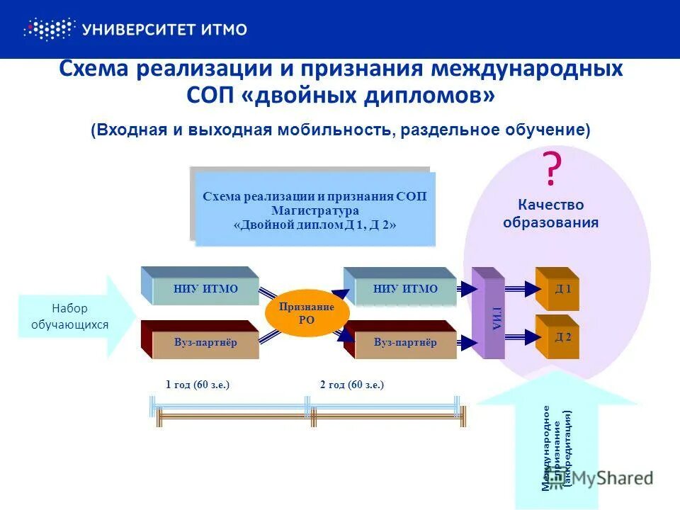 Сетевые программы университетов. Сетевые программы университетов