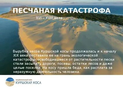 Расписание куршская коса