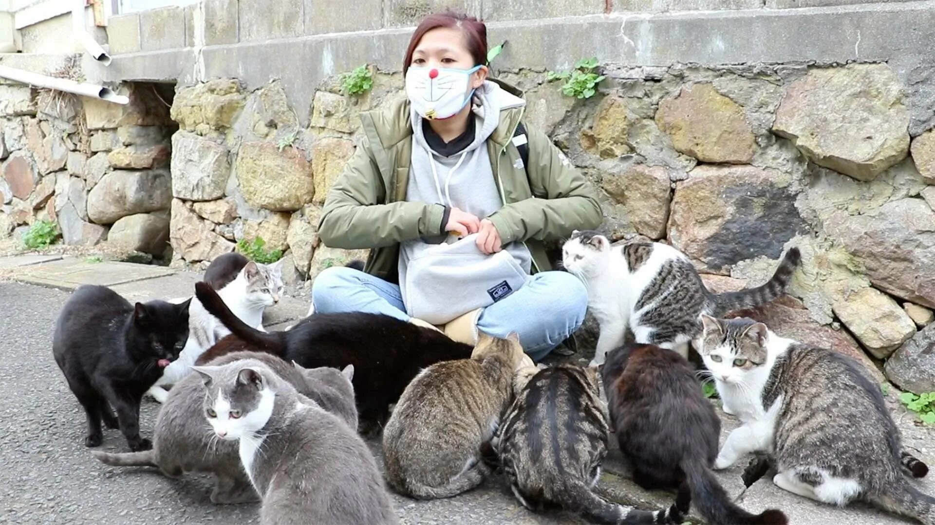 Женщина кормит кошек. Тасиро остров кошек. Остров Фраджост кошачий остров. Остров Тасиро остров кошек. Кошачий остров в Японии.