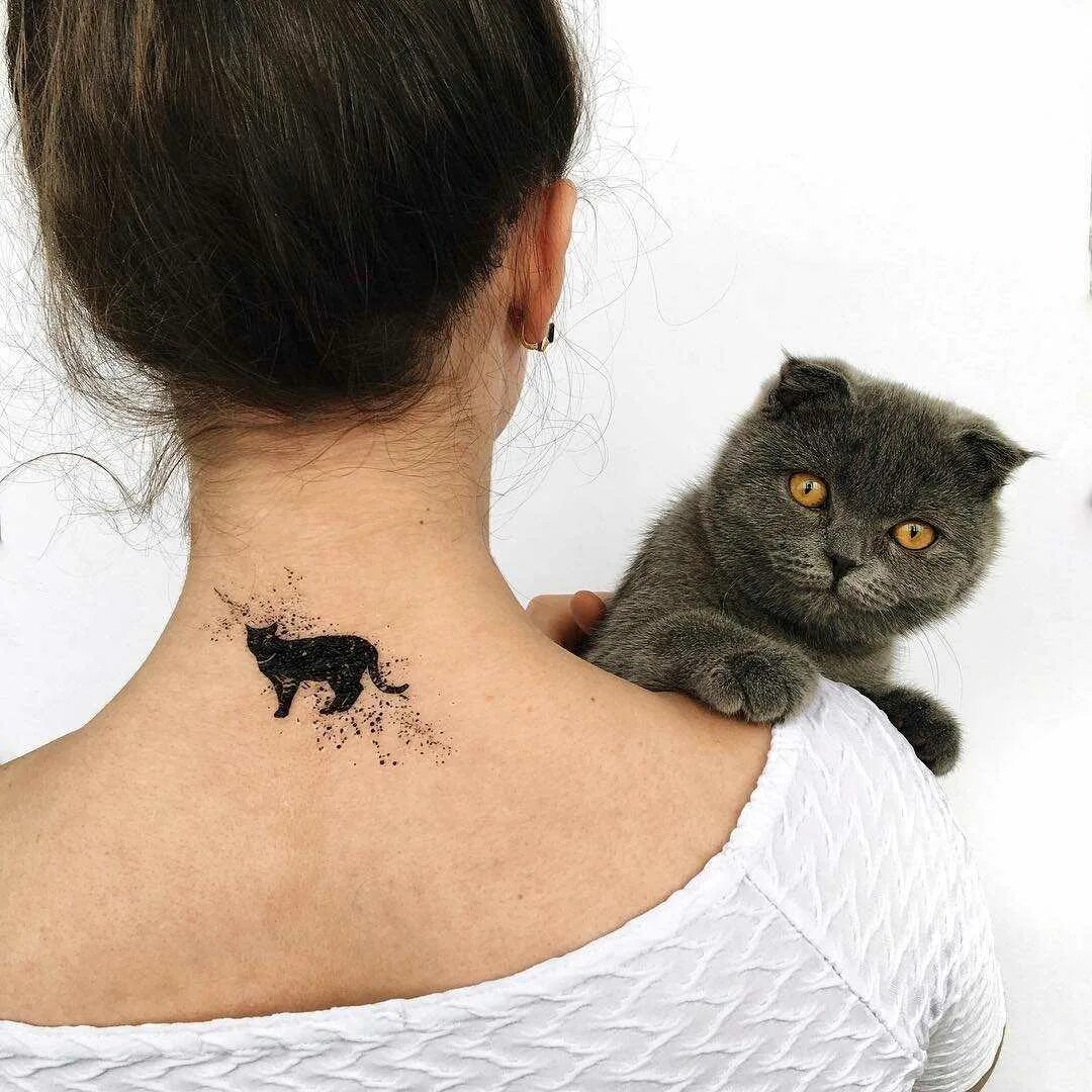 Тату кошка. Женские тату кошки. Фото тату кошек. Тату кошка на лопатке. Тату кошка.