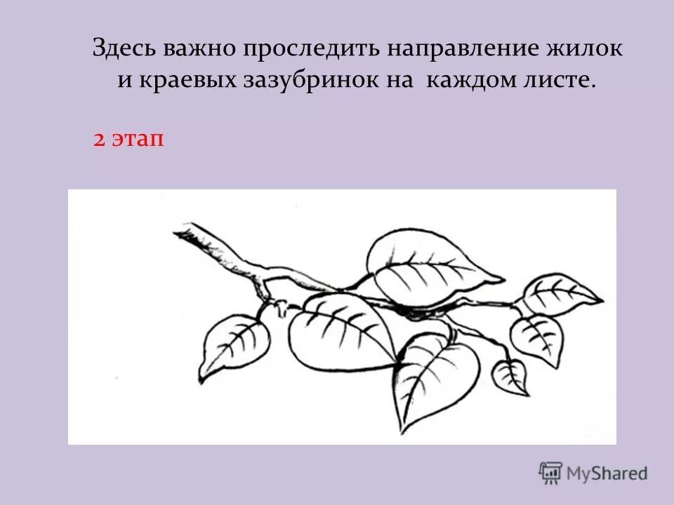 Рисунок 2 листочках движение. Отсчитывание по 2 рисунок листьев. Калина рисунок для 2 класса. Поверните три листа в сторону ветви.