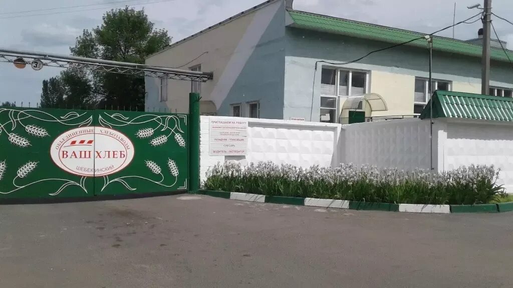 Харьковская ваш. Харьковская ваш. Харьковское училище йобов. Хлебозавод шебекино. Н.