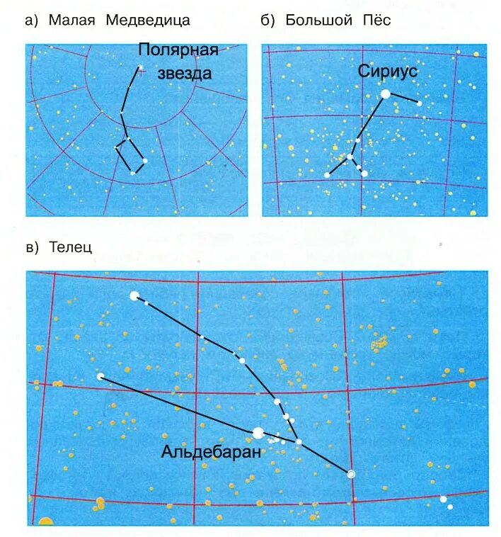 Созвездия 4 класс. Малая Медведица Полярная звезда и Сириус. Полярная звезда Созвездие окружающий мир 4 класс. Атлас определитель Полярная звезда. Полярная звезда Созвездие окружающий мир 3 класс.