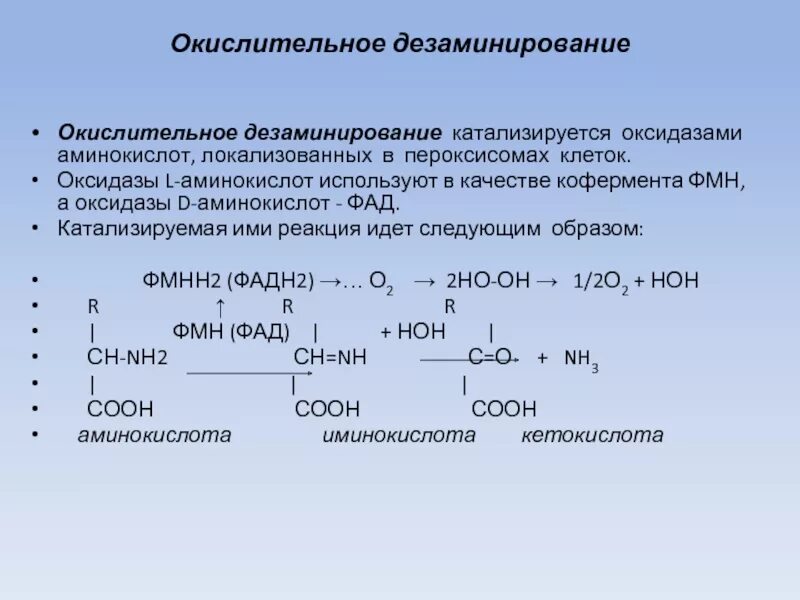 Окислительное дезаминирование аминокислот. Реакция окислительного дезаминирования аланина. Ферменты окислительного дезаминирования. Дезаминирование лейцина реакция.