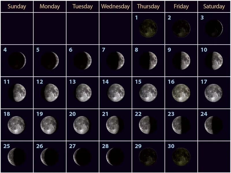 Moon phases. Stages Moon. Moon Cycle. Цикл Луны арт.