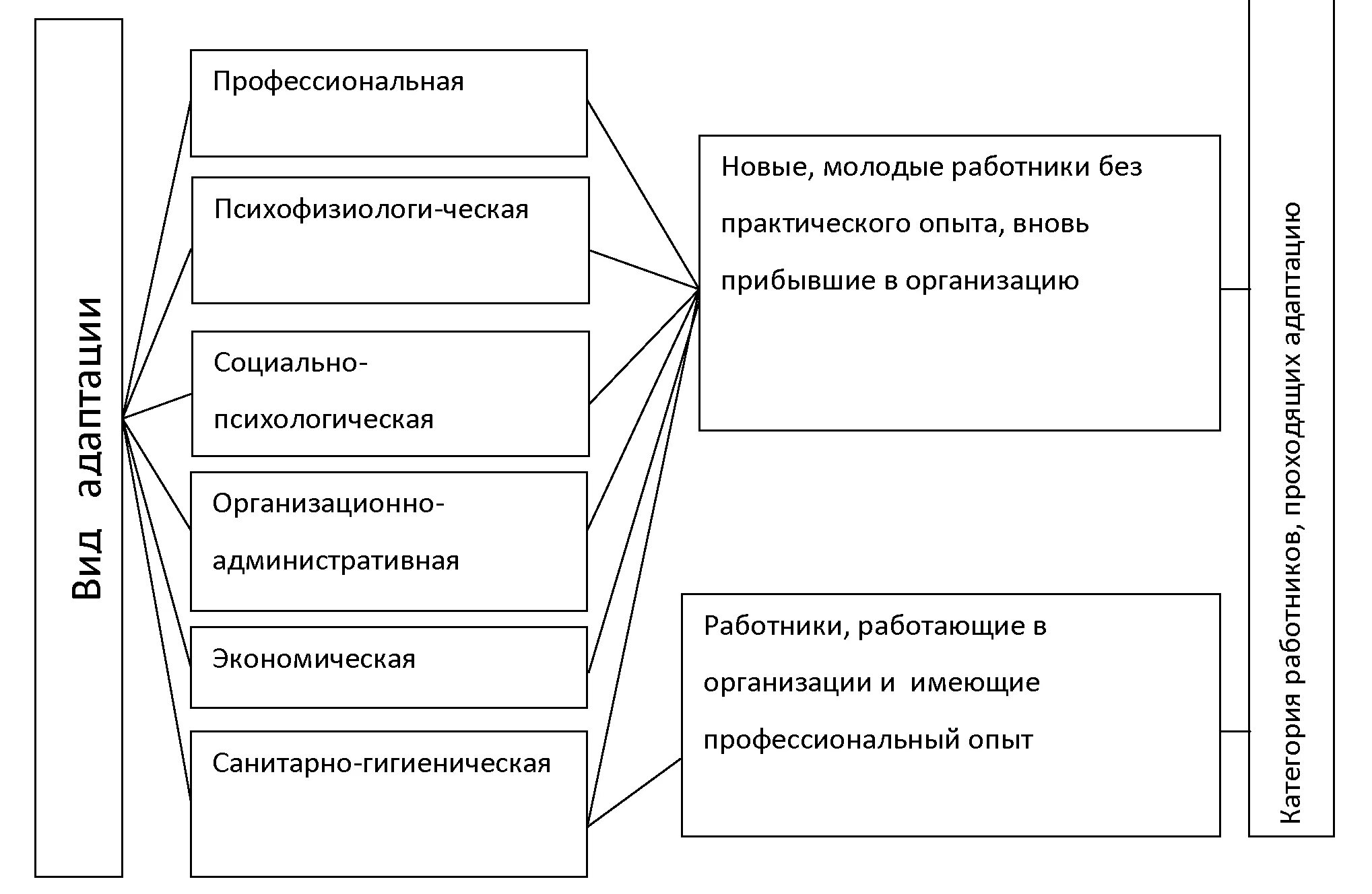 Процедура адаптации. Схема адаптации персонала предприятия. Типы адаптации персонала в организации. Формы адаптации персонала в организации. Этапы адаптации персонала в организации в схемах.