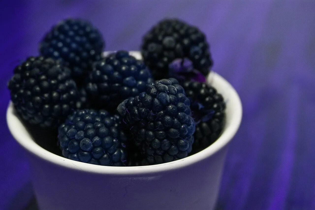 с чем сочетается ежевика