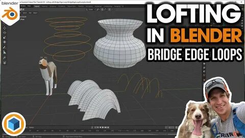 Blender bridge